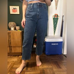 Everlane the curvy way high jean